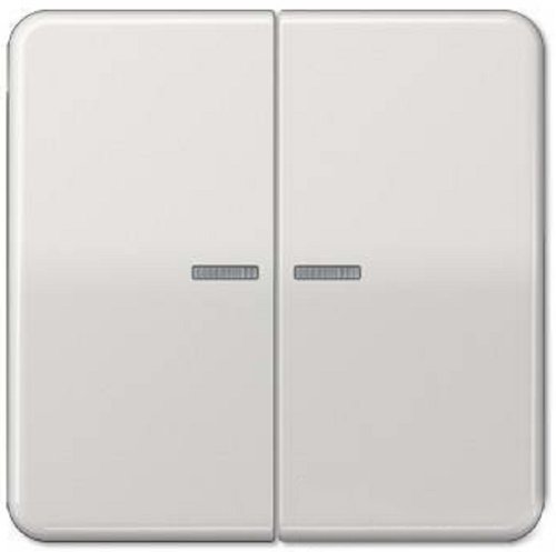 Лицевая панель Jung CD500 для 2-кл. выключателя с подсветкой светло-серый картинка